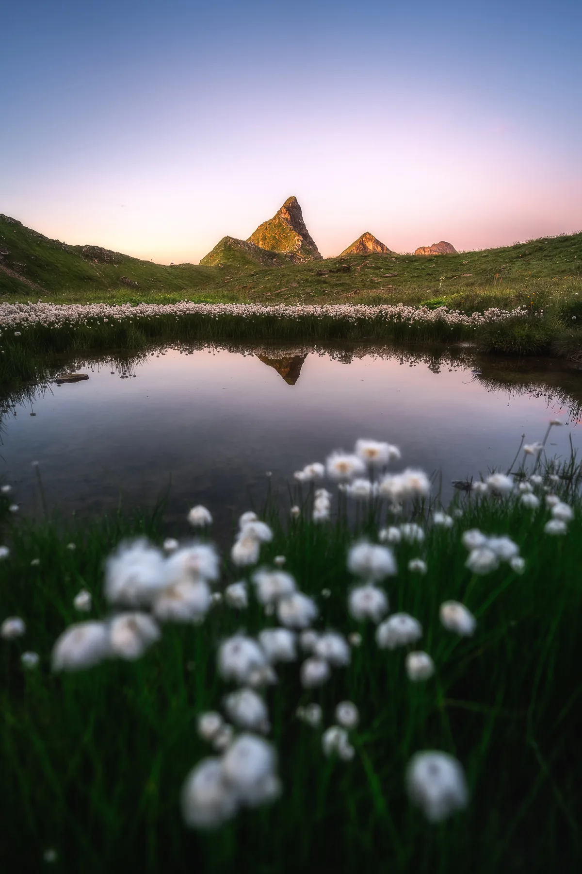 Kleiner Alpensee im Diemtigtal spiegelt spitze Felsgipfel im Abendrot, umgeben von weissem Wollgras, Berner Oberland Schweiz