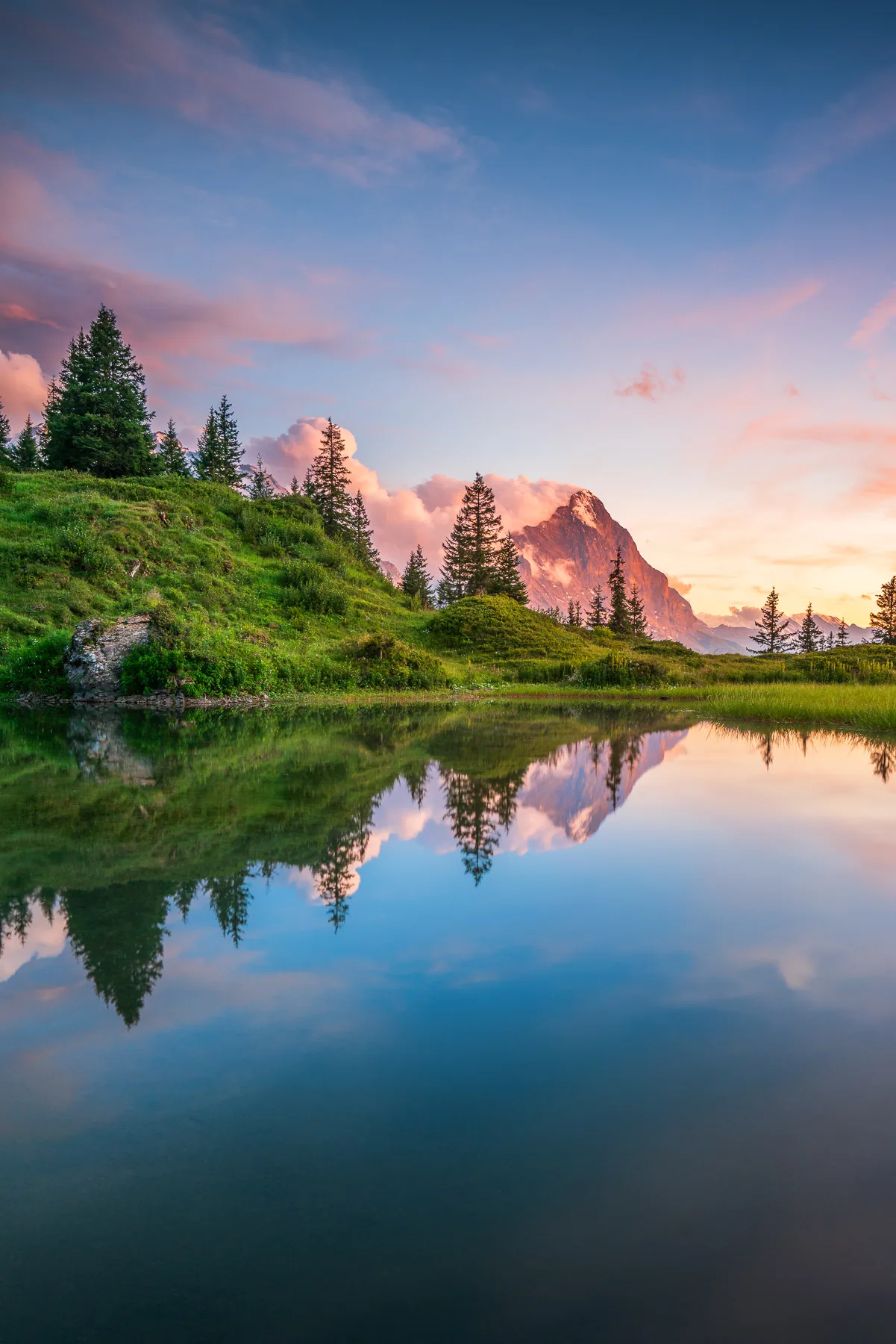 Stiller Bergsee spiegelt Tannen und Berggipfel bei rosa Sonnenuntergang in den Grosse Scheidegg, Kanton Bern