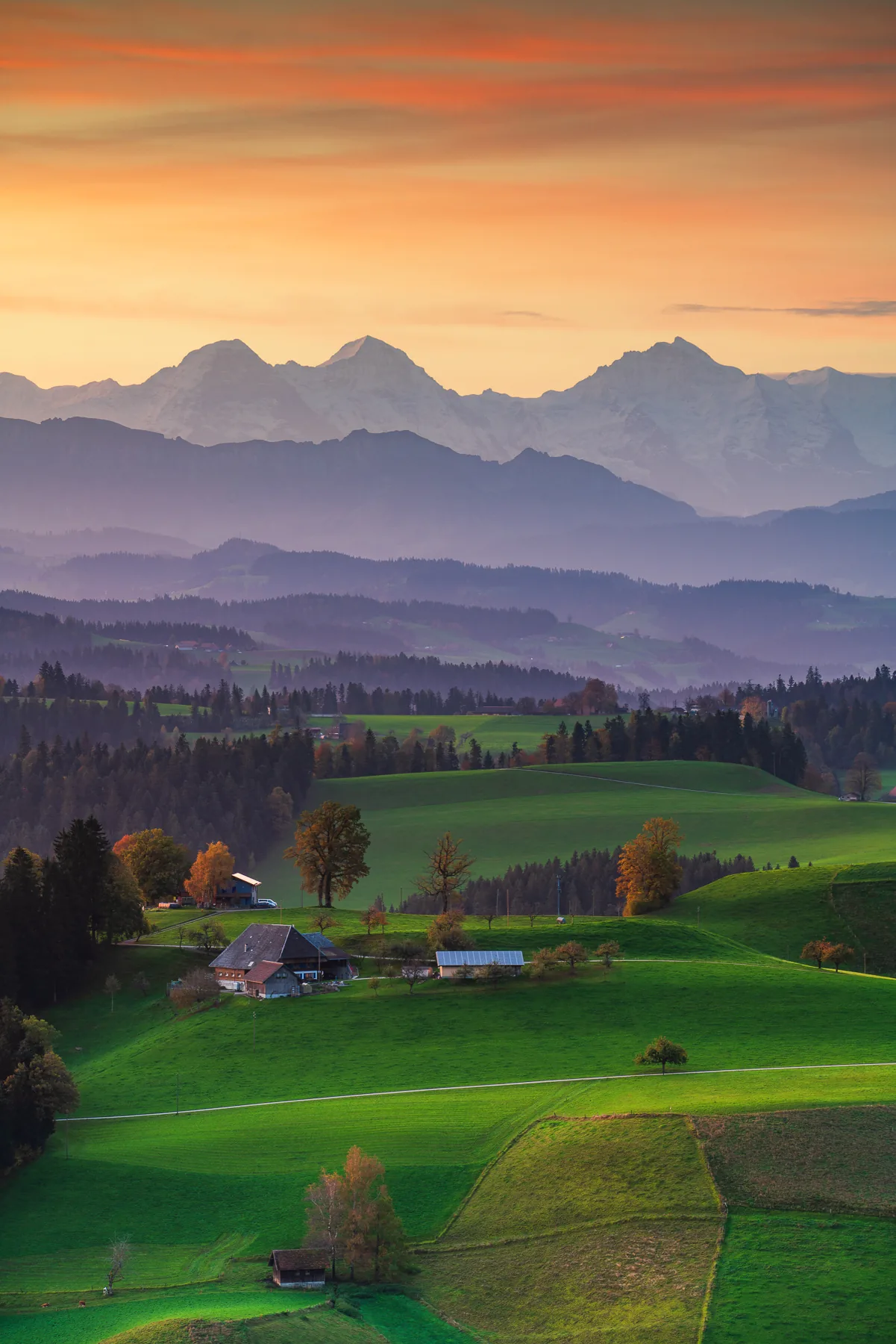 Grüne Hügellandschaft Emmental bei Sonnenuntergang mit Berner Alpen Panorama, Eiger Mönch Jungfrau im Hintergrund