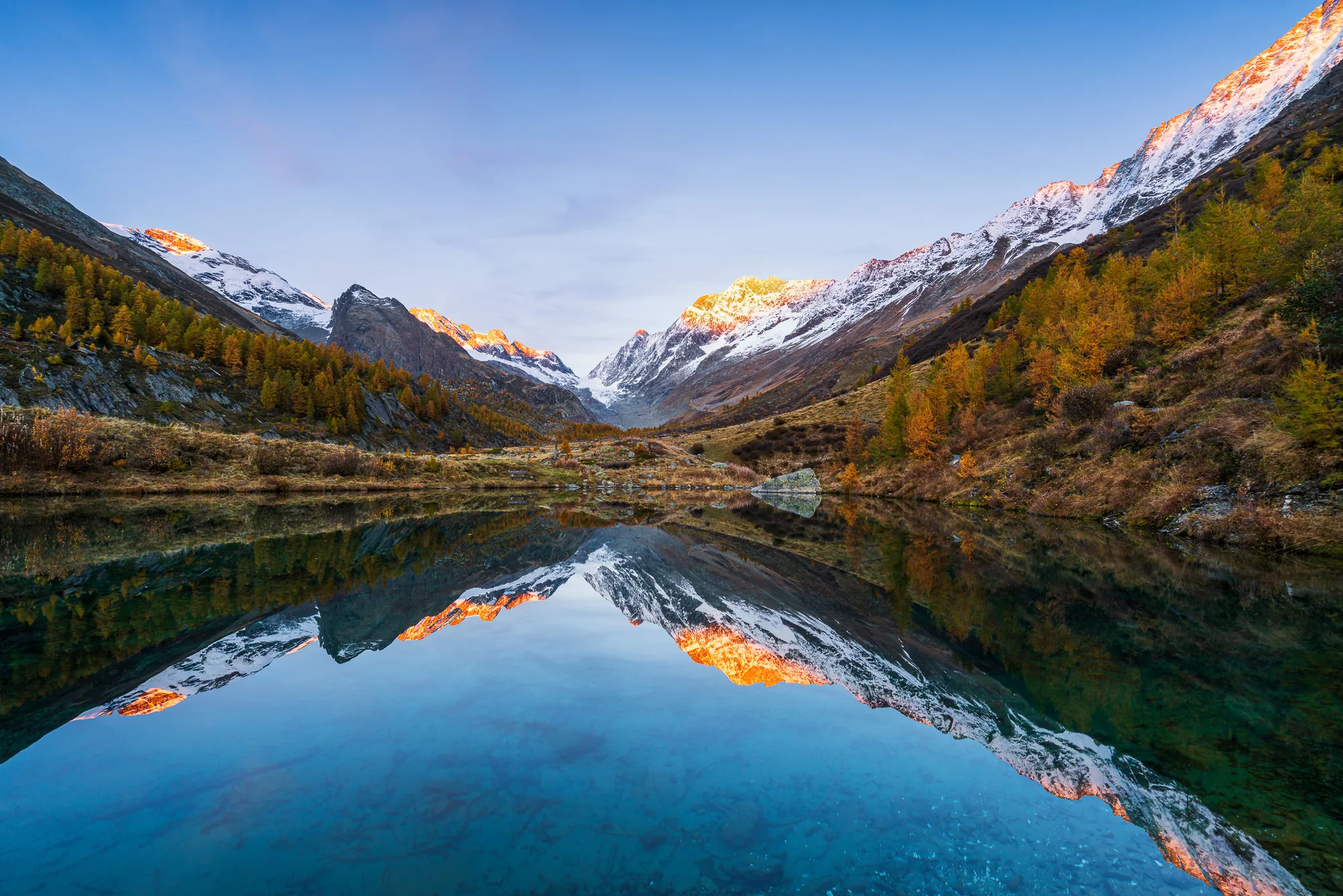 Kristallklarer Bergsee spiegelt schneebedeckte Gipfel mit Alpenglühen und goldenen Lärchen im Herbst, Lötschental, Wallis, Schweiz