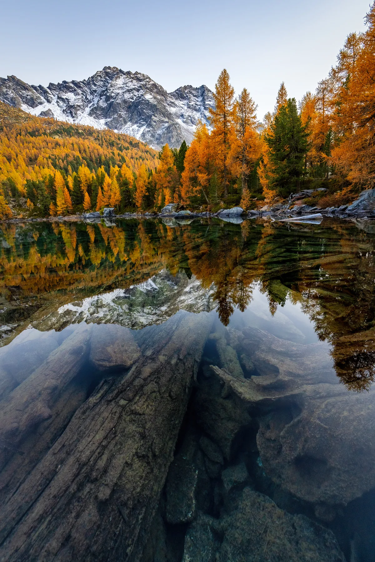 Kristallklarer Bergsee mit Spiegelung goldener Lärchen und schneebedecktem Gipfel, Graubünden Schweiz Herbst