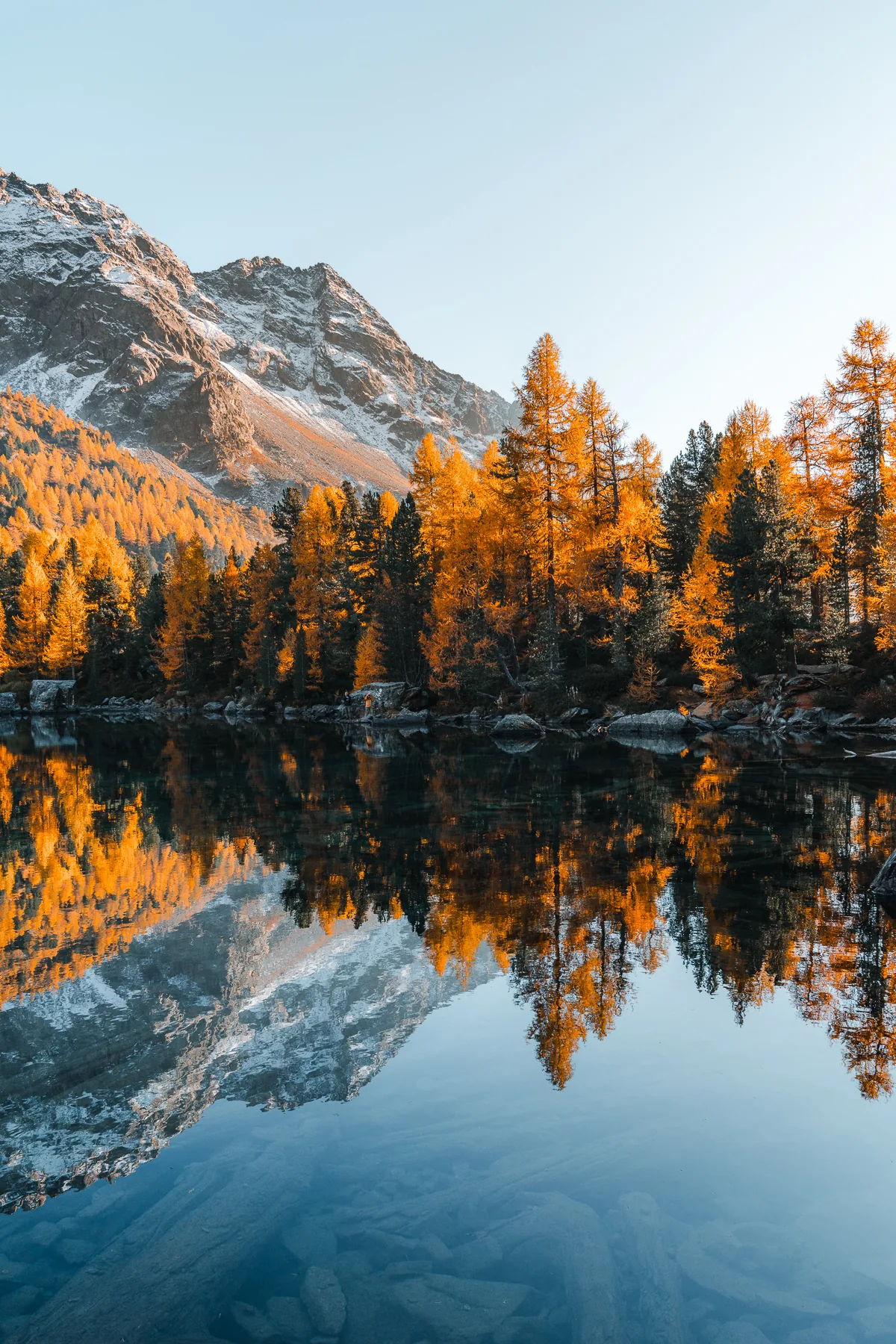 Kristallklarer Bergsee mit perfekter Spiegelung goldener Lärchen und schneebedecktem Gipfel, Graubünden Schweiz Herbst