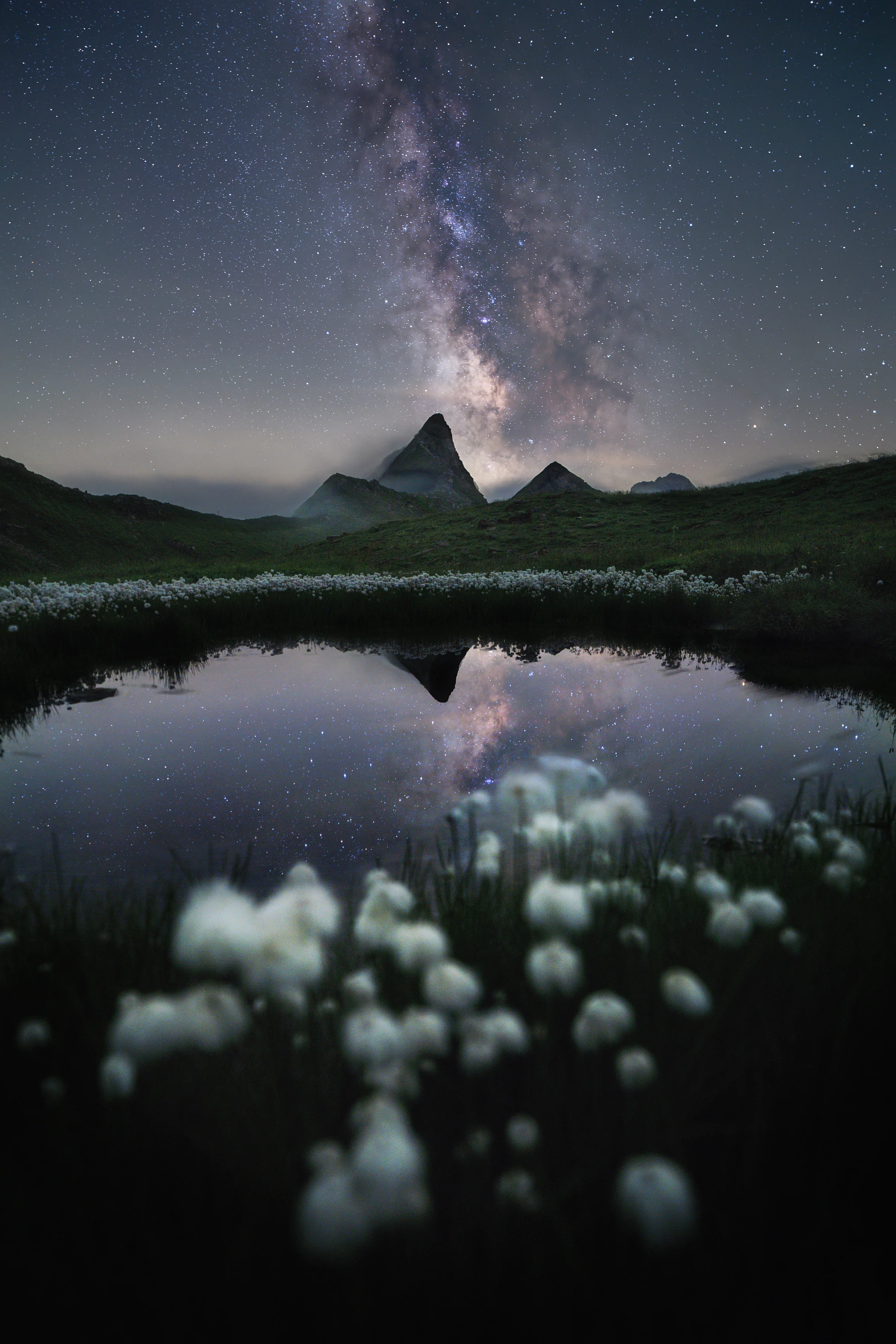 Milchstraße spiegelt sich in einem stillen Bergsee, umgeben von weißen Wollgrasblüten und Alpengipfeln bei Nacht