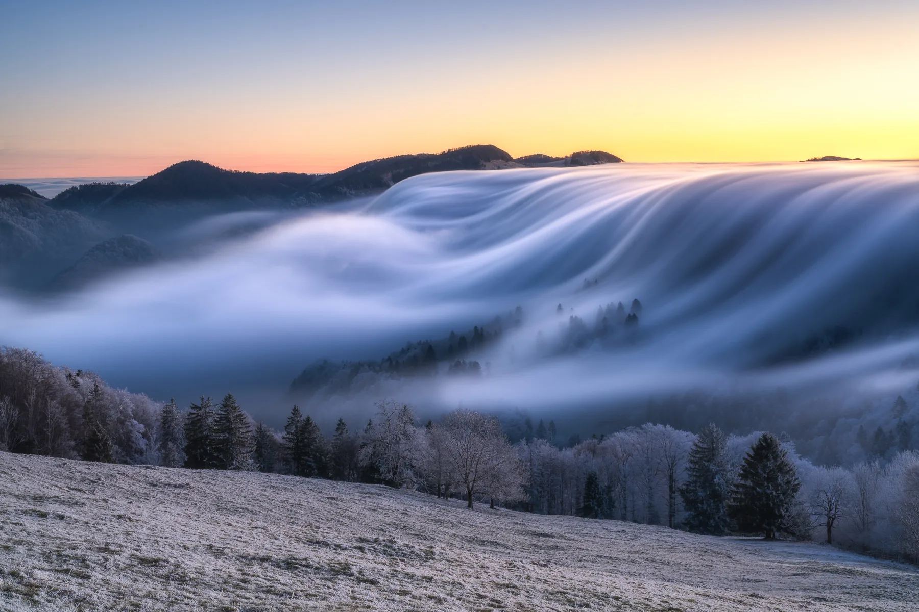 Spektakuläres Nebelmeer fließt wie eine Woge über bewaldete Hügel im Schwarzwald bei Sonnenaufgang mit Frost, Scheltenpass