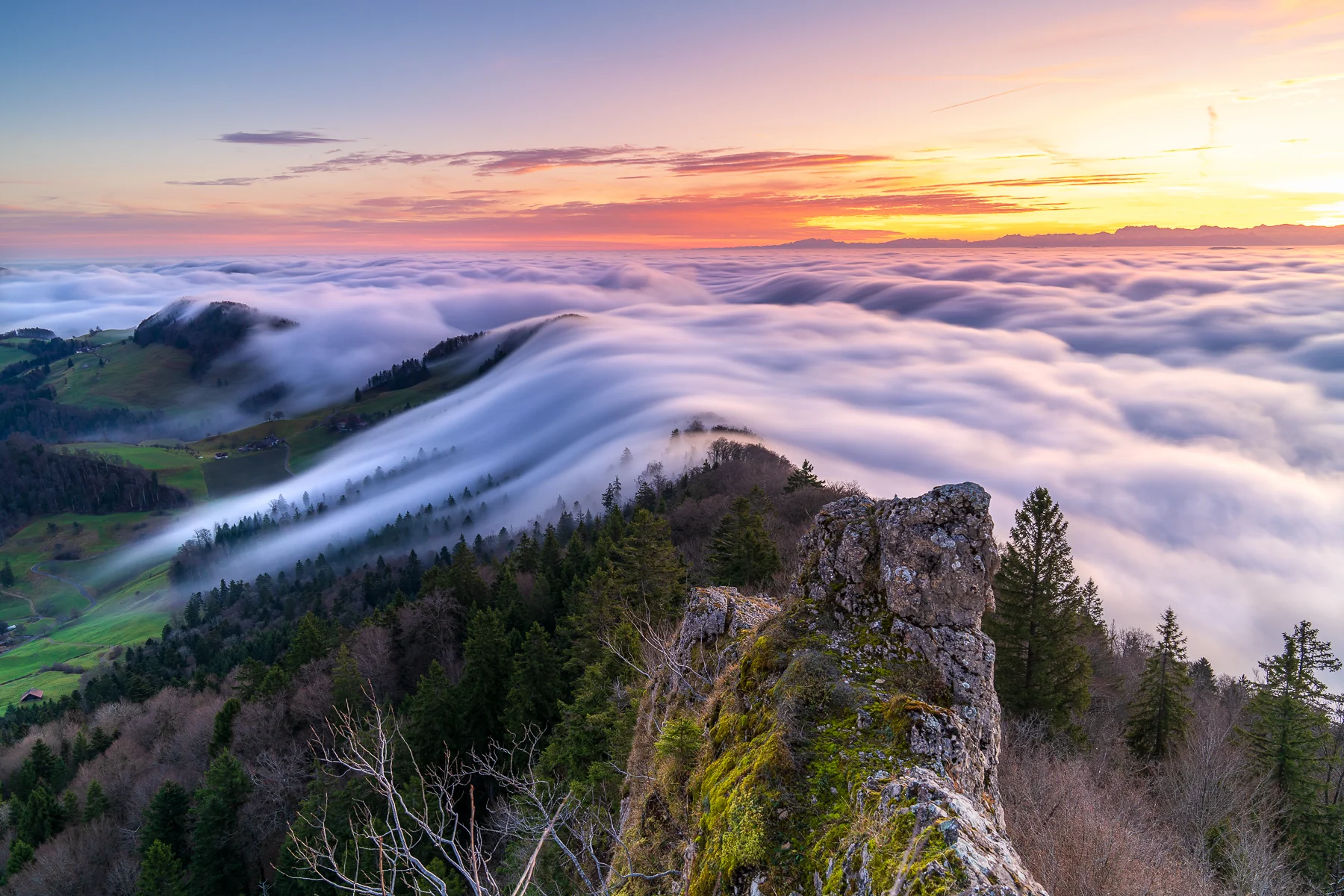 Wogendes Nebelmeer bei farbenprächtigen Sonnenaufgang über dem Baselland, Schweiz, Blick von felsigem Gipfel mit Tannen, Belchenflue Baselland