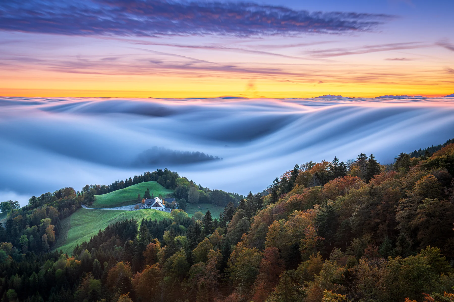 Fließendes Nebelmeer bei Sonnenaufgang über dem Baselland, Schweiz mit Herbstwald und Bauernhof auf grünem Hügel, Belchenflue Baselland