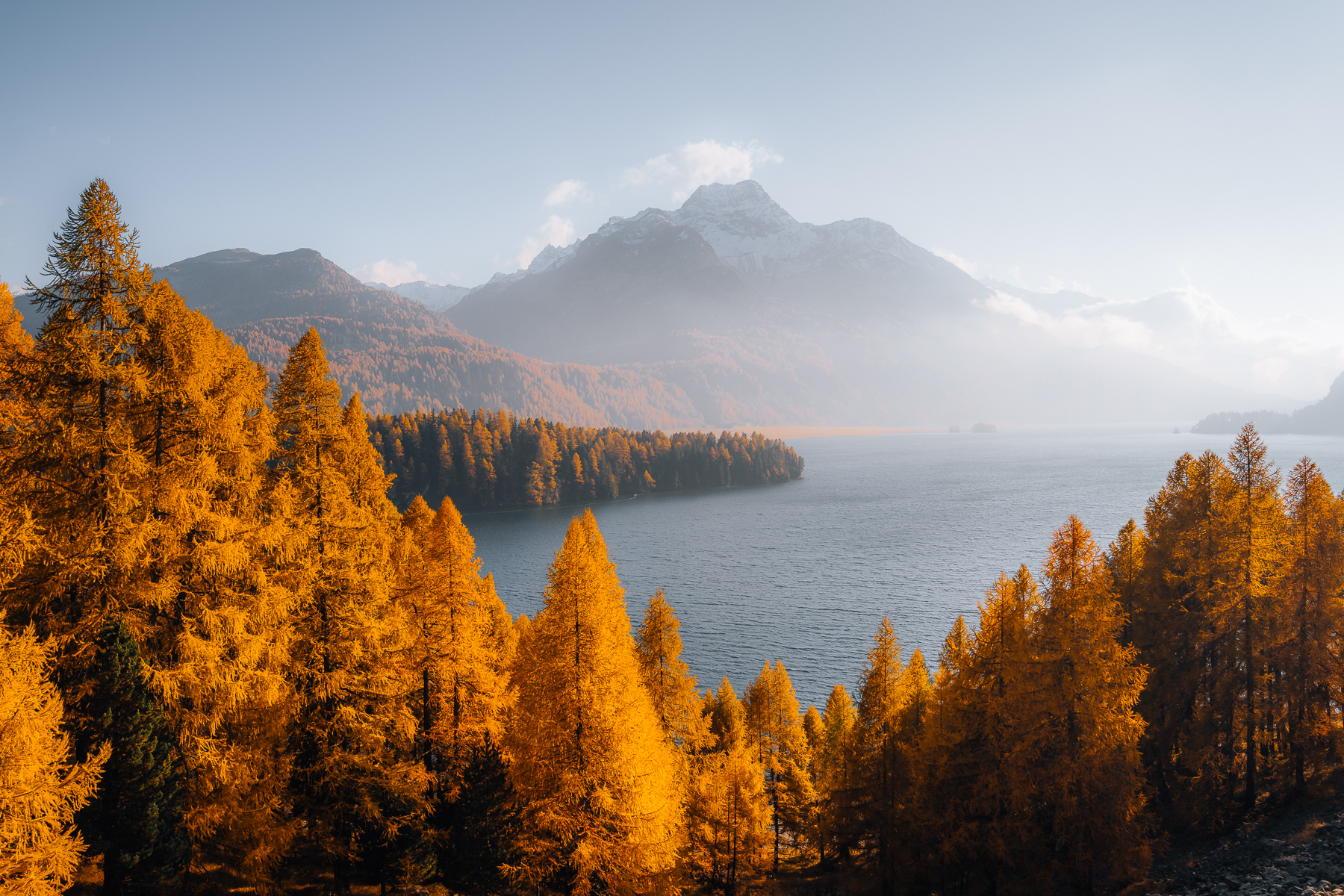 Silsersee im Engadin mit goldenen Lärchen im Herbst, Graubünden Schweiz