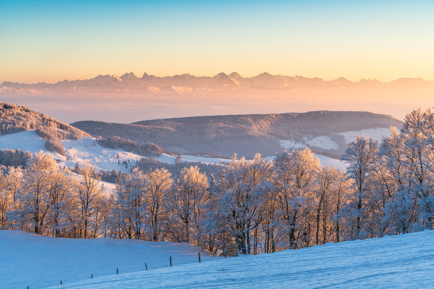 Waldweid im Winter — Auftragsarbeit für Baselland Tourismus