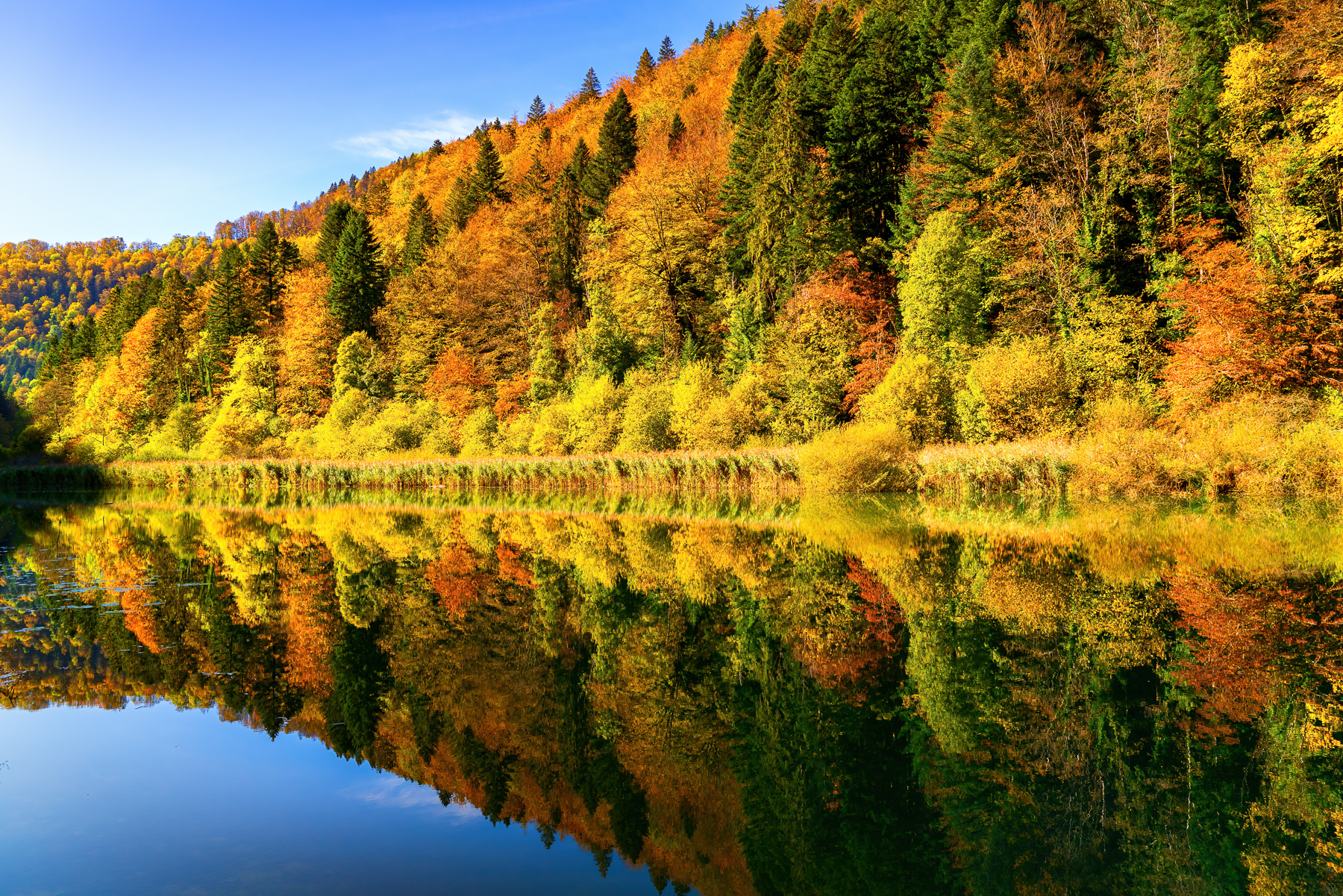 Lightexplorers Fotoworkshop — Herbst im Jura, Schweiz