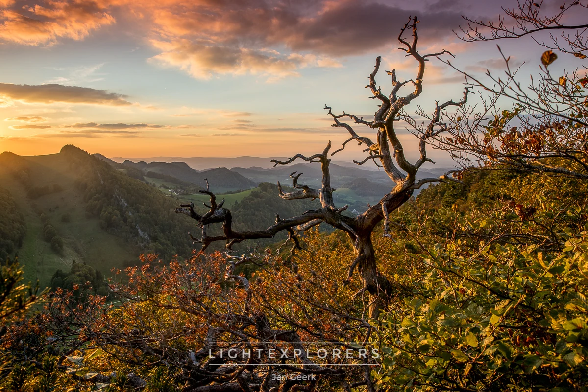 Knorriger toter Baum auf felsigem Gipfel beim Herbst-Sonnenuntergang über der Belchenflue, Baselland Schweiz — warme Herbstfarben, Lightexplorers Fotoworkshop