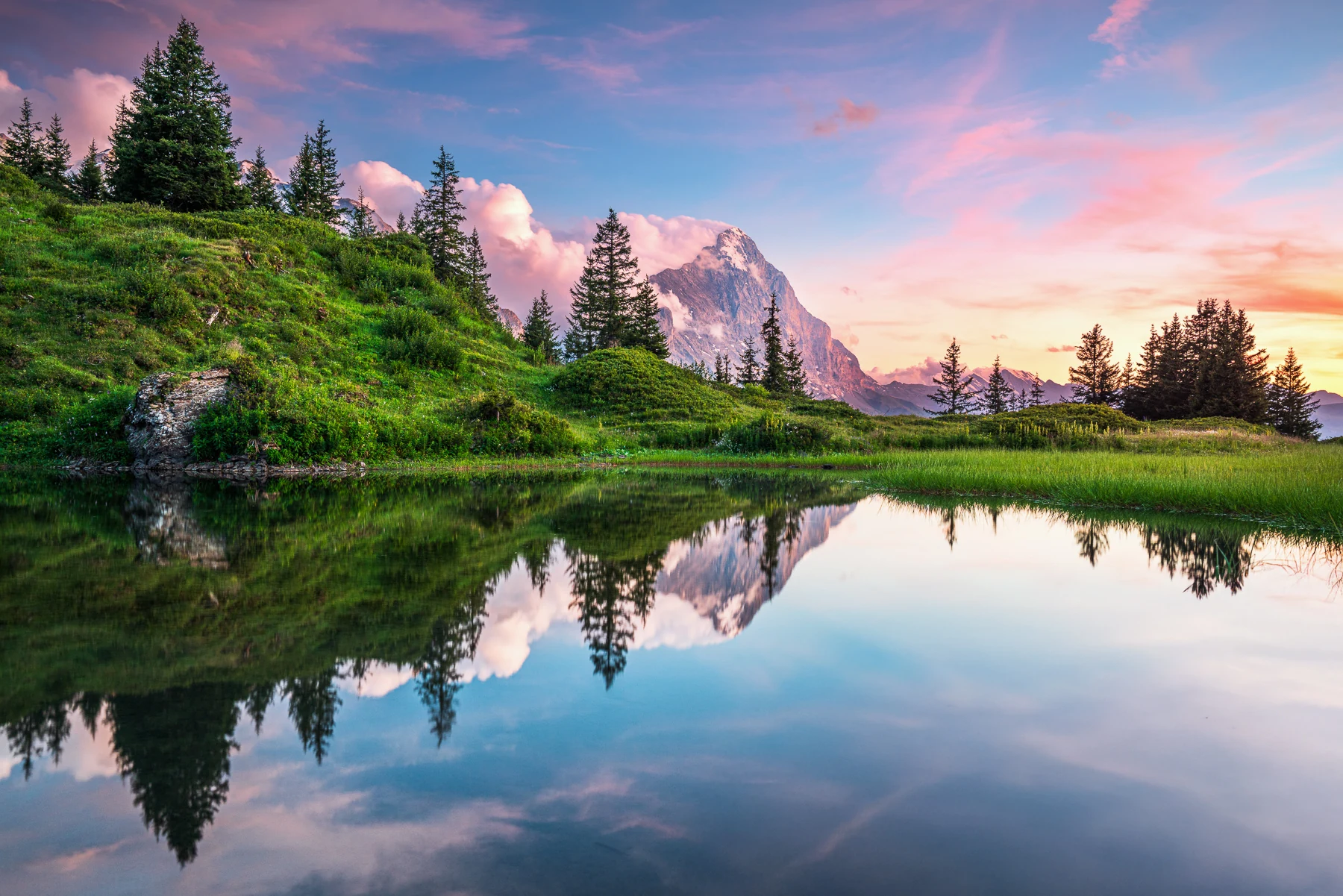 Eiger spiegelt sich in kleinem Bergsee bei farbenprächtigen Sonnenuntergang, Tannen und grüne Alpenwiese — Lightexplorers Fotoworkshop Berner Oberland Schweiz