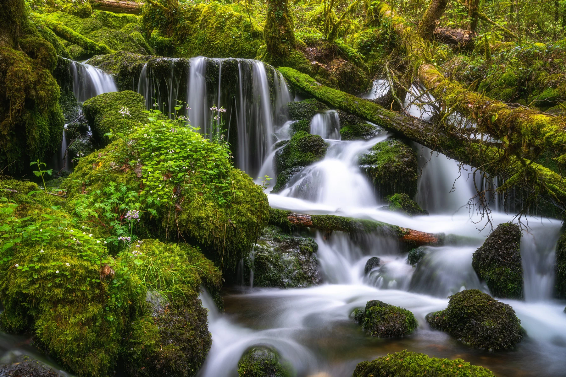 Seidiger Wasserfall über bemooste Felsen im grünen Frühlingswald, Jura Schweiz — Langzeitbelichtung, Lightexplorers Wasserlandschaft Fotoworkshop